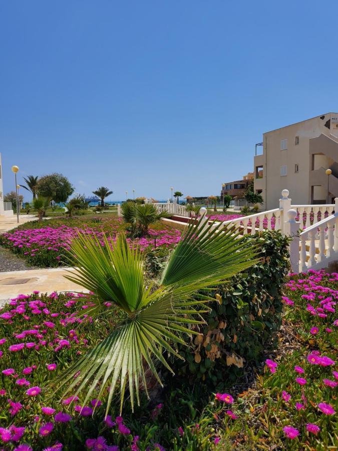 Casa Baja Naturista Con Patio En Primera Linea De Playa Con Piscina Comunitaria! مْبيرا المظهر الخارجي الصورة