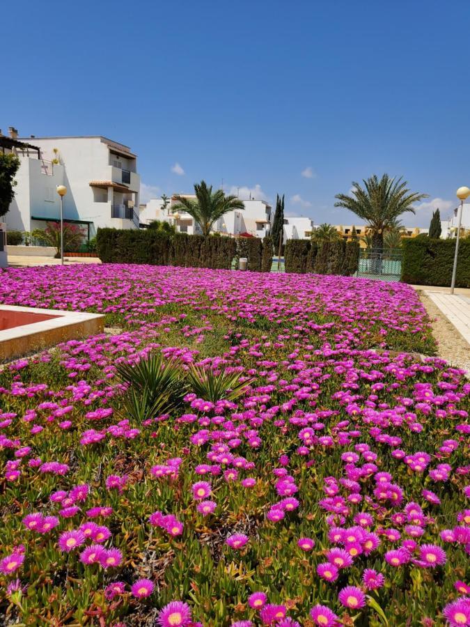 Casa Baja Naturista Con Patio En Primera Linea De Playa Con Piscina Comunitaria! مْبيرا المظهر الخارجي الصورة